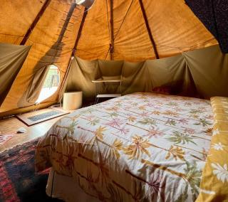 Cosy Teepee to reconnect with Nature! - Putty - 9