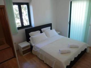 Apartments Mlikota - Two Bedroom Apartment with Terrace - Zaton - 3