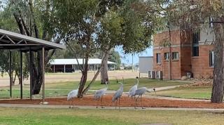 Longreach Station Accommodation - - 4