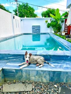 A House - homestay Mui Ne - Mui Ne - 9