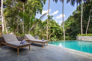 Luxury 3BR Villa with Expansive Pool in Ubud - Ubud - 4
