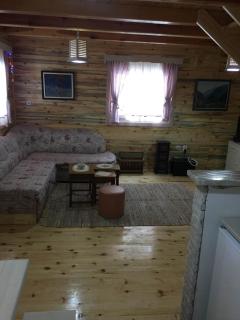 Apartments Milev - Mokra Gora - 5