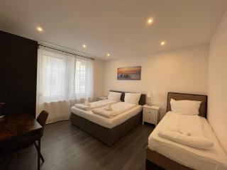 Gemütliches Apartment in Geisenheim - 8