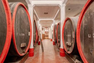 Dimora Perla di Villa - Historical Wine Retreat near Bernina Express - 4