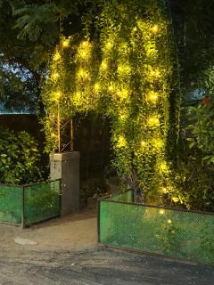 Serene stay in the lap of Nature - 4