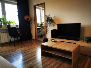 ApartCraft 27th Room - Bielsko-Biala - 2