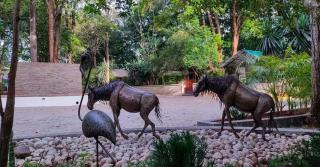 Kivulini Eco-Park Karen - 1