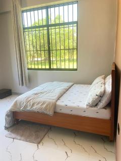 Stay with Rodjazz - 1