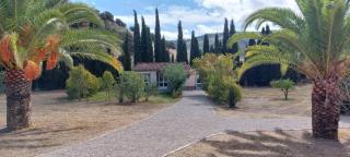Casita Higo - Olvera - 6