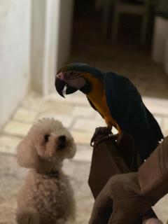 Milura Home - con vasca idromassaggi - Locorotondo - 7