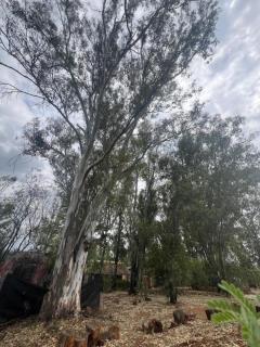 Damascus Bush Lodge - Hartbeespoort - 1