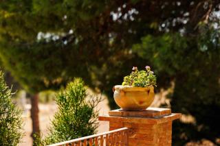 La Terrazza sul Mare - 2