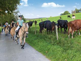 Ferienhof Belke-Spork - Schmallenberg - 7