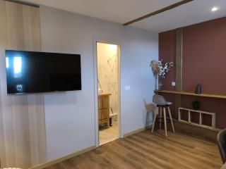 Grand Studio Place Morny refait à neuf - Deauville - 6