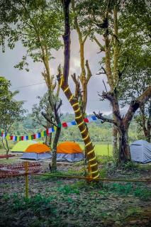 TauSco Homestay & Campsite - Coorg - Madikeri - 5