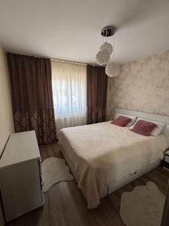 sweet, cozy apartment - Şelimbăr - 9