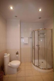 House for rent in Hyusisayin avenue , Yerevan - Yerevan - 6