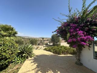Finca encanto - Arcos de la Frontera - 1