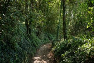 Wild Rose Cottage - Holbeton - 1