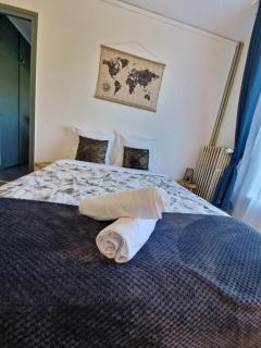 Suite des Lices à 2 minutes de la Gare- Chateau de blois - Suite des Lices 2 minutes from train station - Chateau de Blois - Blois - 2