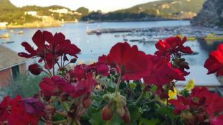 Alipa Beach Apartment - Paleokastritsa - 5