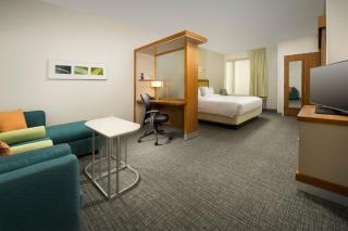 SpringHill Suites by Marriott Bridgeport Clarksburg - Bridgeport - 3