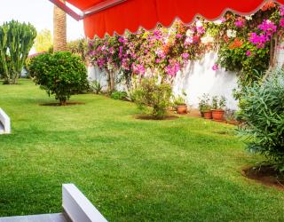 Casa Tranquila - Puerto de la Cruz - 5