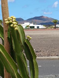 Casa Los Volcanes - Uga - 0