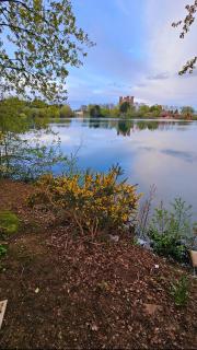 Lakeside Rudd Lake, 3 bed property with hot tub and stunning views - Tattershall - 2