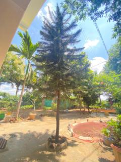 Kanchi Farm Stay - 7