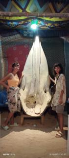 Blue Sea Beach Bungalows - 9