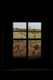 Countryside Shepherds Hut with hot tub wood fired - Gransha - 4