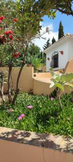 Finca Sol y Cielo - Cajís - 1