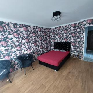 Apartament Okrzei - Włocławek - 6