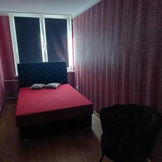Apartament Okrzei - Włocławek - 3