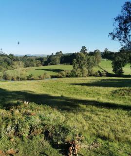 Riverstone Farm - Dargle - 0