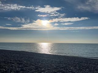 Cayeux sur oiseaux - Cayeux-sur-Mer - 2