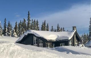 Cozy Home In Sjusjøen With Sauna - Sjusjøen - 2