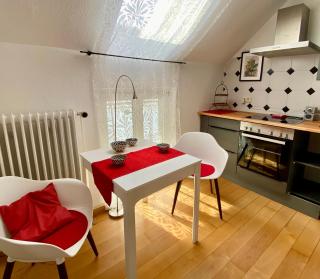 ruhige Wohnung in zentral gelegener Gründerzeitvilla - Oldemburgo - 1