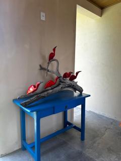 Pousada Oiti - Barrinha - 6