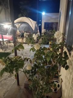 Casa Rustica - Mamaia Sat/Năvodari - 2
