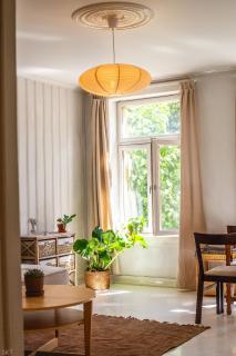 Charming 1800s Apt w Fireplace and Free parking - Oslo - 0
