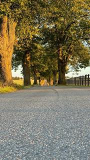 Vätterns Pärla - modernt sjönära hus nära Vadstena - 8