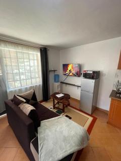 Kiluu Homes TRM Drive- Roysambu, Thika Road - Nairobi - 7