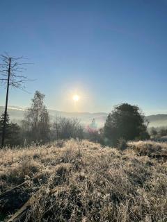Приватна садиба Дикий Мед - 2