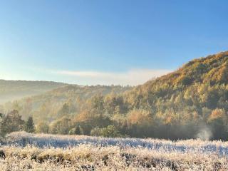 Приватна садиба Дикий Мед - 1