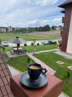 Little lion Zlatibor - 7