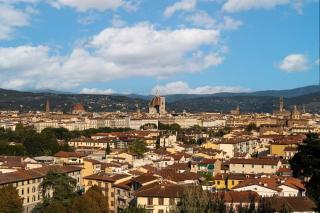 Florence Olive Grove - Florence - 5