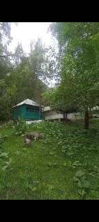 Лесхоз - Kalday - 2
