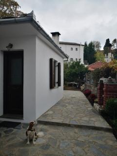 Effrosini Stonehouse center Portaria - 6